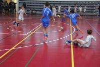 horugvić2.jpg horugvić2