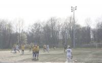 IMG 5378