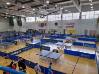 329939719 491853059814199 1834671482765443715 n