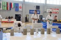 kyokushin 08