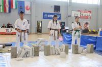 kyokushin 10