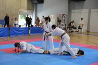 kyokushin 12