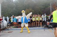 maraton 3
