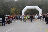 maraton 8
