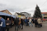 badnjak7