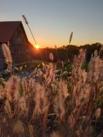 IMG_20201020_190620