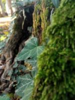 IMG_20201020_190811
