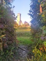 IMG_20201018_173650