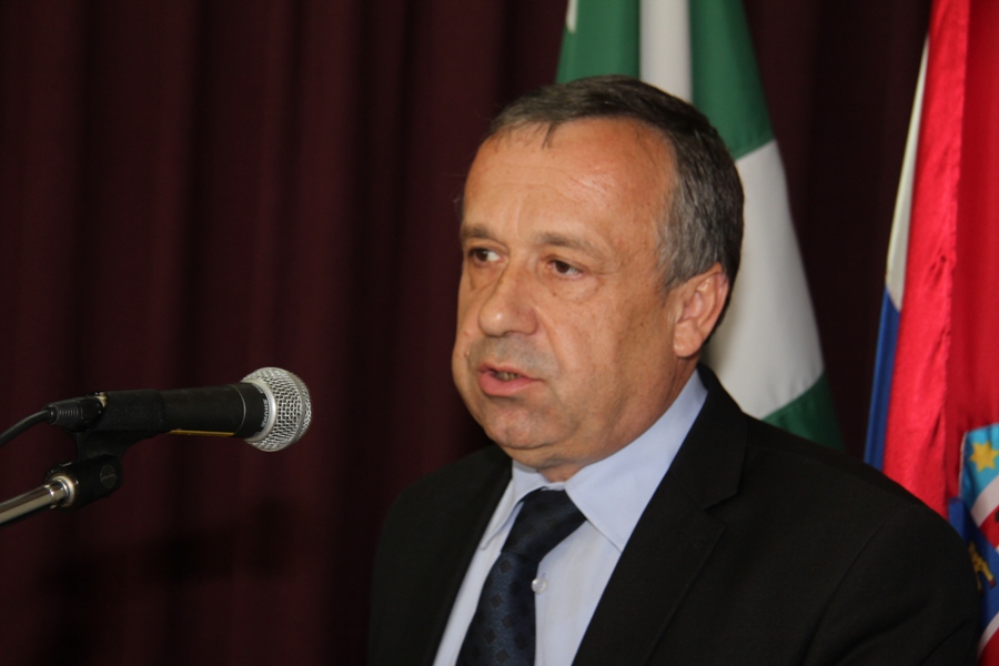 dsrtomljenović