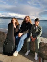 Gitaristi