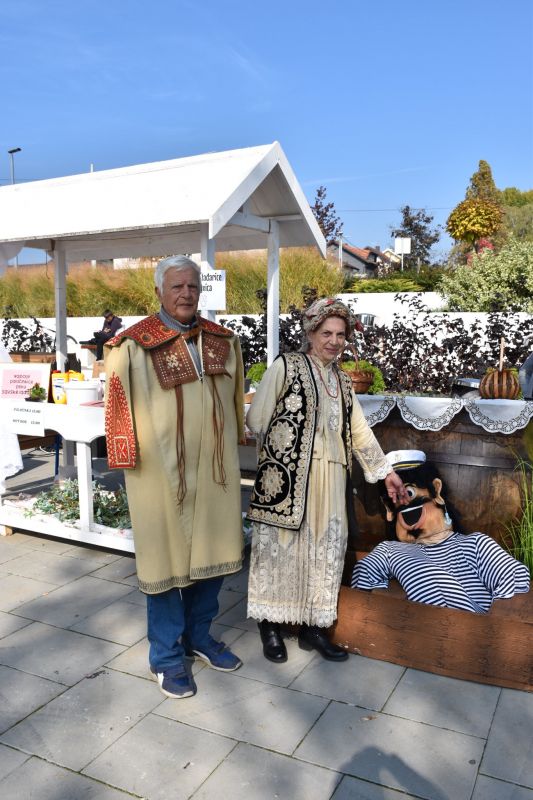 311894158_555780239881283_2908854747227257247_n