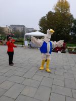 311440240_554766099982697_3187443567679157969_n