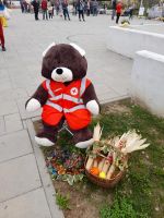 311644017_554766349982672_7707812121957486534_n