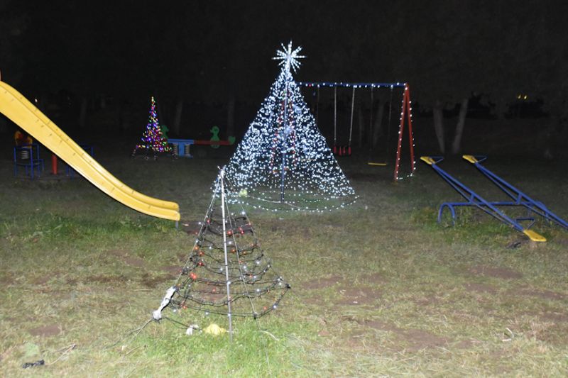 DSC_7968 DSC_7968