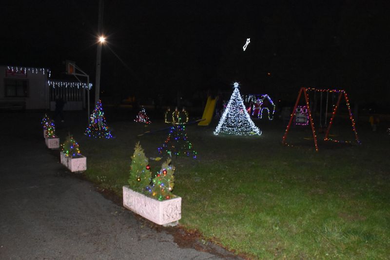 DSC_7997 DSC_7997