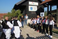 berba_gradska_02