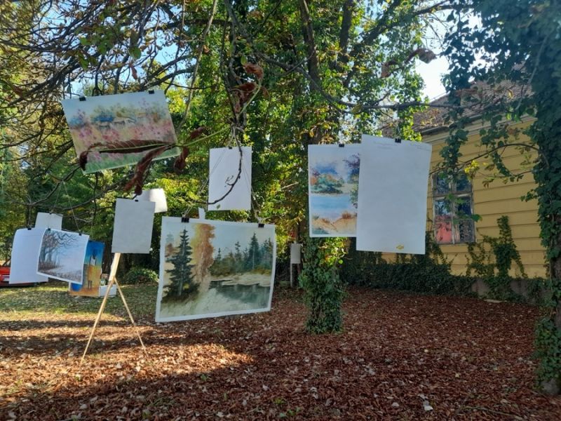 inkubator_aktivnosti_2 inkubator_aktivnosti_2