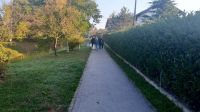 zelena_čistka_1