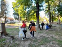 zelena_čistka_6