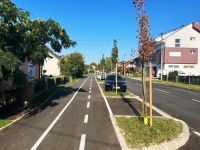 Završna_Walk_Bike_Dugo_Selo_2