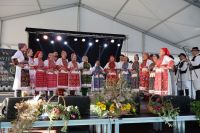 fo1