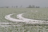 field-1162103.jpg__648x432_q85_crop_subsampling-2_upscale