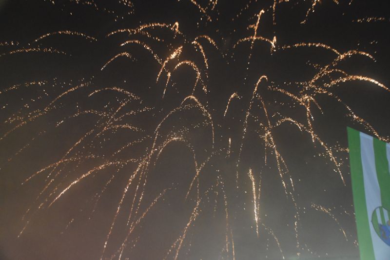 DSC_3217 DSC_3217
