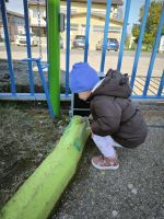 IMG-20241012-WA0002