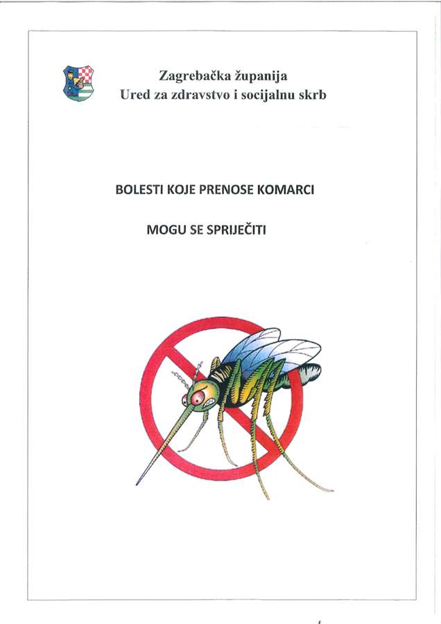 zika 1