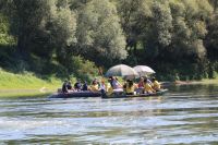 291870967_469030615222913_1415636114499684779_n