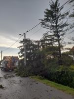 IMG-20230719-WA0006