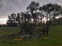 IMG-20230719-WA0042