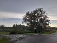 IMG-20230720-WA0001