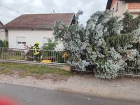 PHOTO-2023-07-22-17-59-06