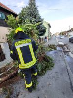 PHOTO-2023-07-22-17-59-07