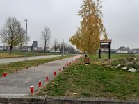 IMG-20211117-WA0010