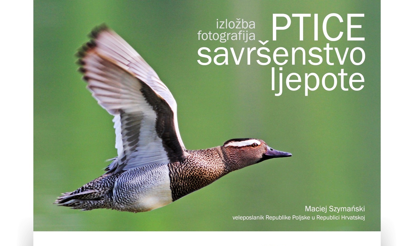 Pozivnica Ptice SavrsenstvoLjepote  digitalna