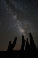 p228_ORM_milky_way-0750