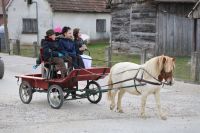 FAŠNIK_LUPOGLAV_04