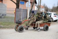 lupoglav_fašnik_2024_11