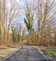 428639995_876723180917979_3065088697611366067_n