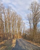 428641374_876723100917987_5995562765062014973_n